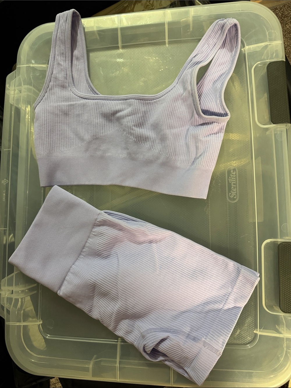 Seamless Ribbed Lavender Crop Bra & High-Waist Shorts Set